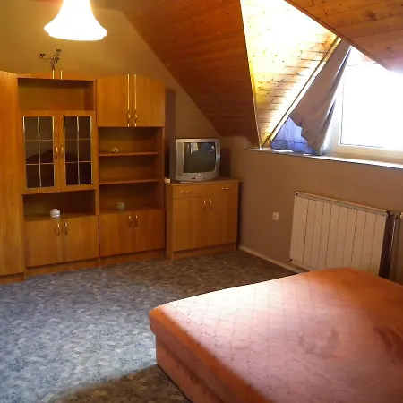 Apartamento In Siofok/balaton 20015
